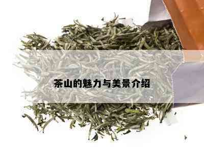 茶山的魅力与美景介绍