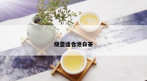 烧壶适合泡白茶