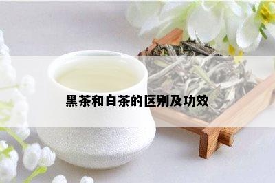 黑茶和白茶的区别及功效