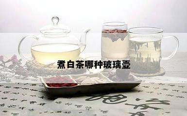 煮白茶哪种玻璃壶