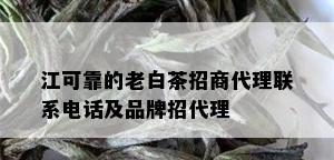 江可靠的老白茶招商代理联系电话及品牌招代理