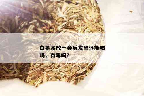 白茶茶放一会后发黑还能喝吗，有吗？