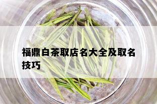 福鼎白茶取店名大全及取名技巧