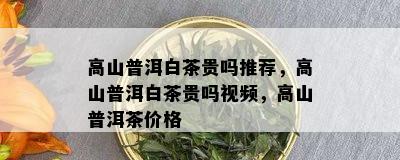 高山普洱白茶贵吗推荐，高山普洱白茶贵吗视频，高山普洱茶价格