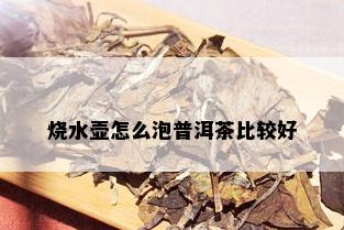 烧水壶怎么泡普洱茶比较好