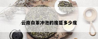 云南白茶冲泡的度是多少度