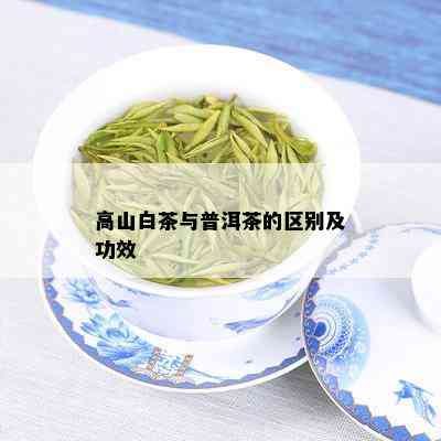 高山白茶与普洱茶的区别及功效