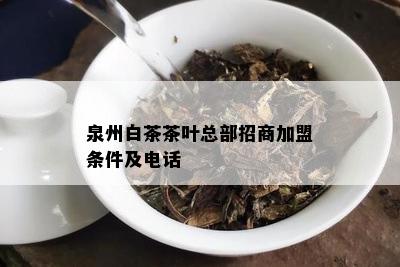 泉州白茶茶叶总部招商加盟条件及电话