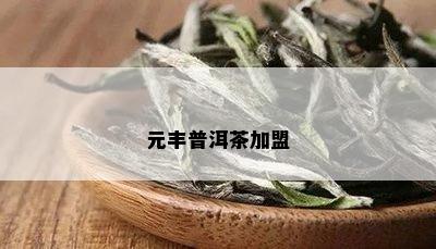 元丰普洱茶加盟