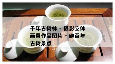 千年古树林 - 摄影立体画意作品图片 - 绕百年古树景点