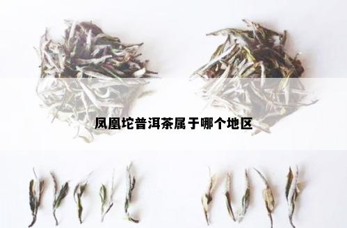 凤凰坨普洱茶属于哪个地区