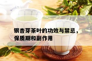 银杏芽茶叶的功效与禁忌，保质期和副作用