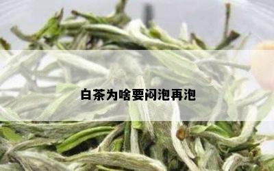 白茶为啥要闷泡再泡