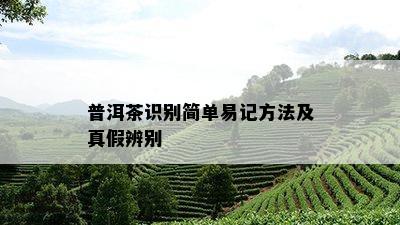 普洱茶识别简单易记方法及真假辨别