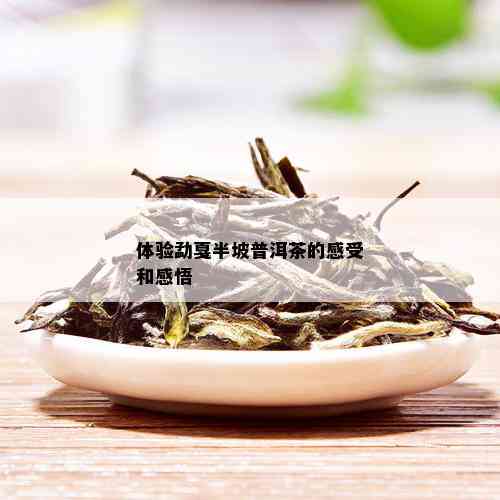 体验勐戛半坡普洱茶的感受和感悟