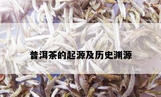 普洱茶的起源及历史渊源