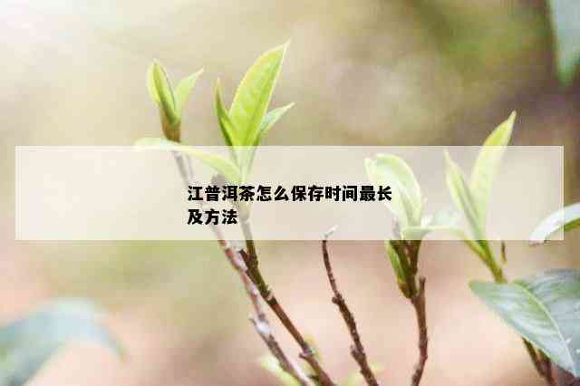 江普洱茶怎么保存时间最长及方法