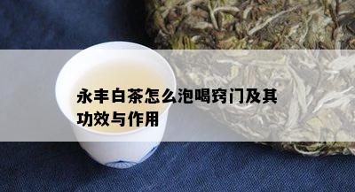 永丰白茶怎么泡喝窍门及其功效与作用