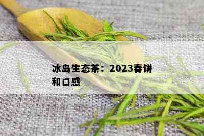 冰岛生态茶：2023春饼和口感