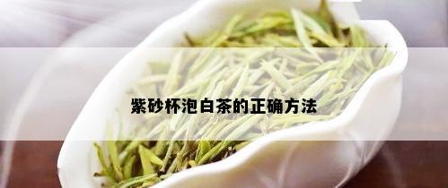 紫砂杯泡白茶的正确方法