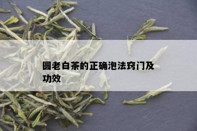 圆老白茶的正确泡法窍门及功效