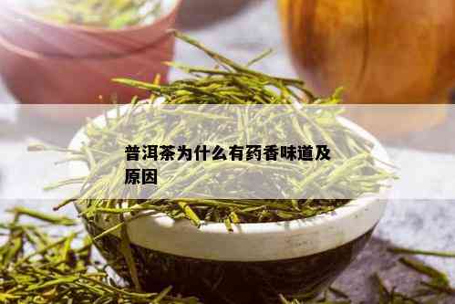 普洱茶为什么有香味道及原因