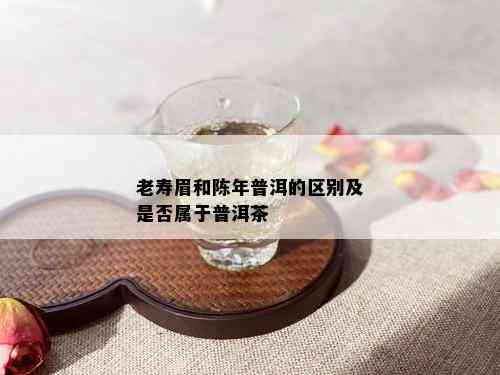 老寿眉和陈年普洱的区别及是否属于普洱茶