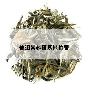 普洱茶科研基地位置