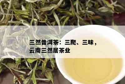 三然普洱茶：三爬、三昧，云南三然居茶业