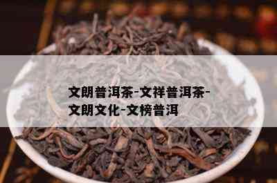 文朗普洱茶-文祥普洱茶-文朗文化-文榜普洱