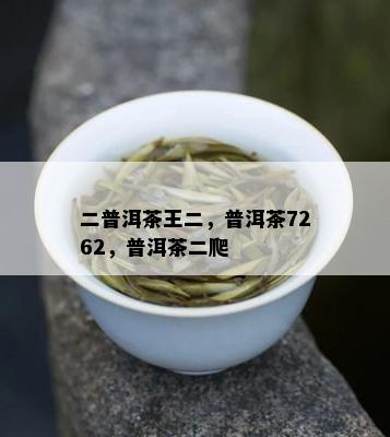 二普洱茶王二，普洱茶7262，普洱茶二爬