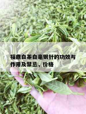 福鼎白茶白毫银针的功效与作用及禁忌，价格