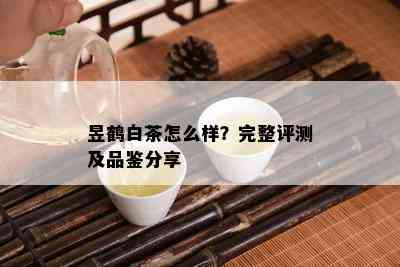 昱鹤白茶怎么样？完整评测及品鉴分享