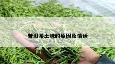 普洱茶土味的原因及情话