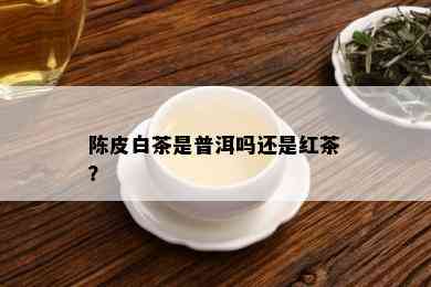 陈皮白茶是普洱吗还是红茶？