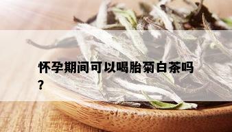 怀孕期间可以喝胎菊白茶吗？