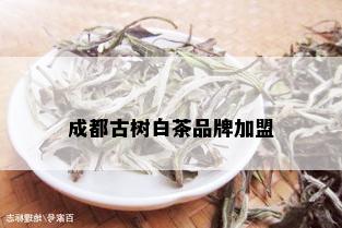 成都古树白茶品牌加盟