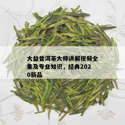 大益普洱茶大师讲解视频全集及专业知识，经典2020新品