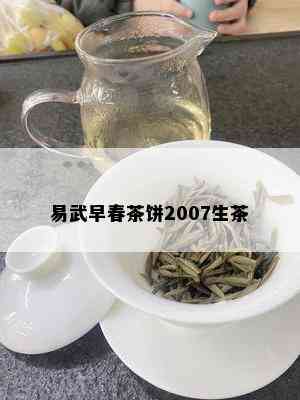 易武早春茶饼2007生茶