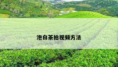 泡白茶拍视频方法