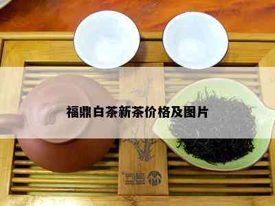 福鼎白茶新茶价格及图片