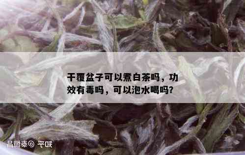 干覆盆子可以煮白茶吗，功效有吗，可以泡水喝吗？