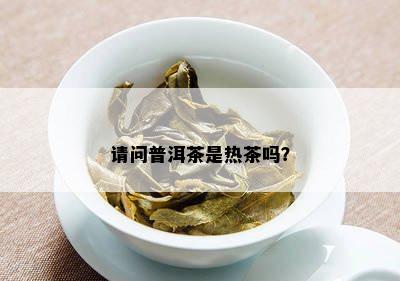 请问普洱茶是热茶吗？