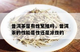 普洱茶是有性繁殖吗，普洱茶的性能是性还是凉性的