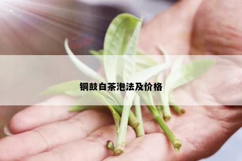 铜鼓白茶泡法及价格