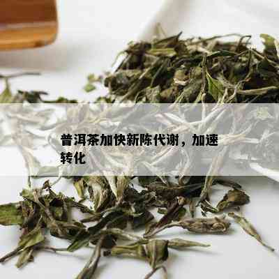 普洱茶加快新陈代谢，加速转化