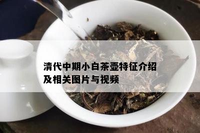 清代中期小白茶壶特征介绍及相关图片与视频