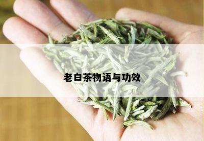 老白茶物语与功效