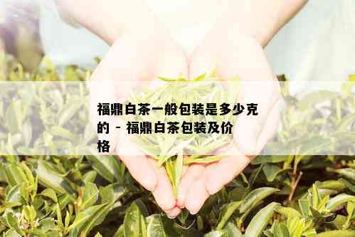 福鼎白茶一般包装是多少克的 - 福鼎白茶包装及价格