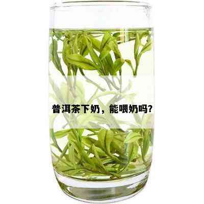 普洱茶下奶，能喂奶吗？